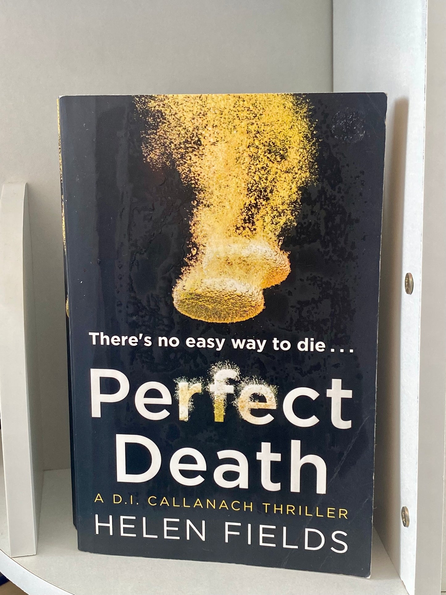 Perfect Death by Helen Fields