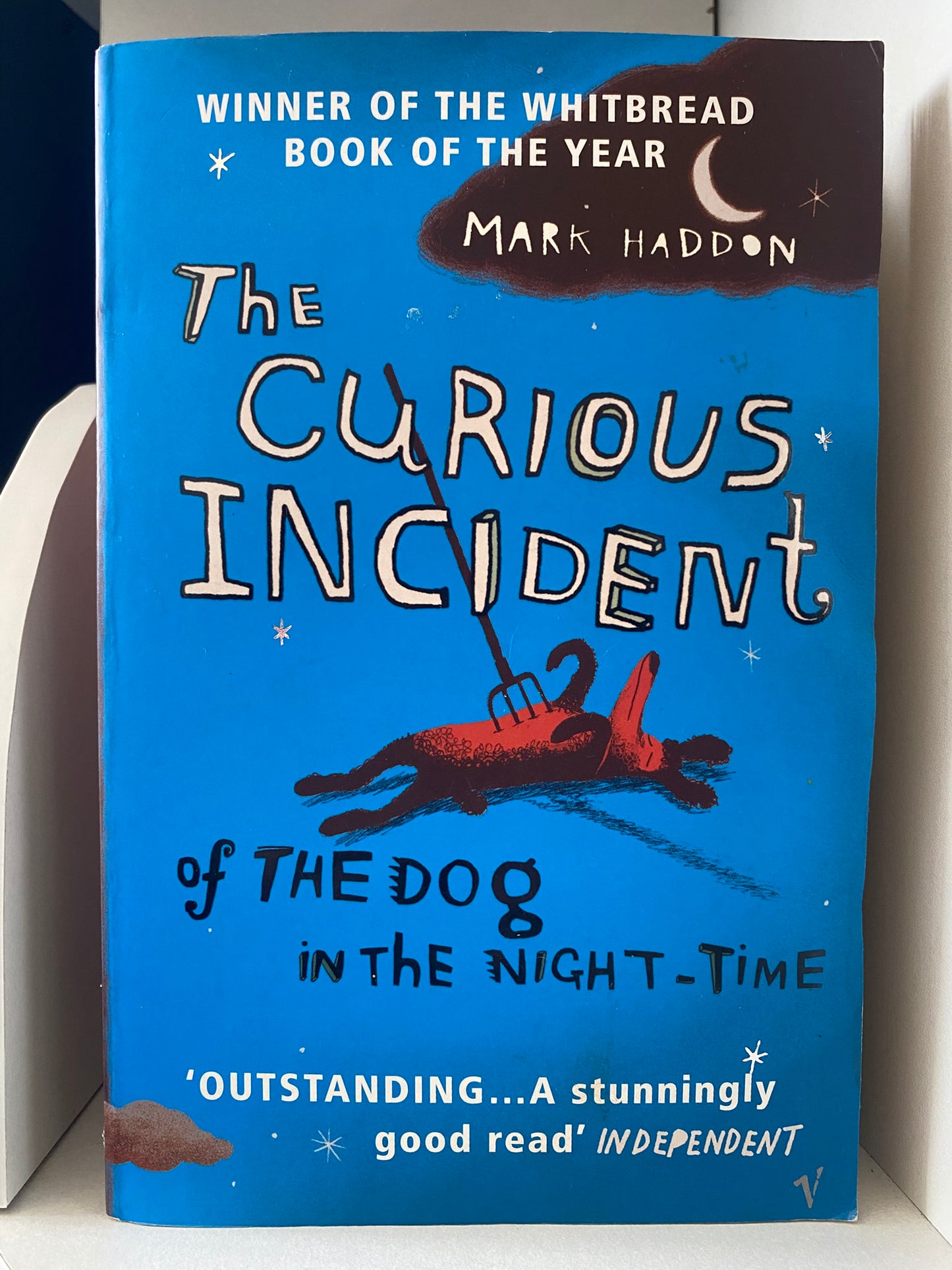 The Curious Incident of the Dog in the Night-time by Mark Haddon