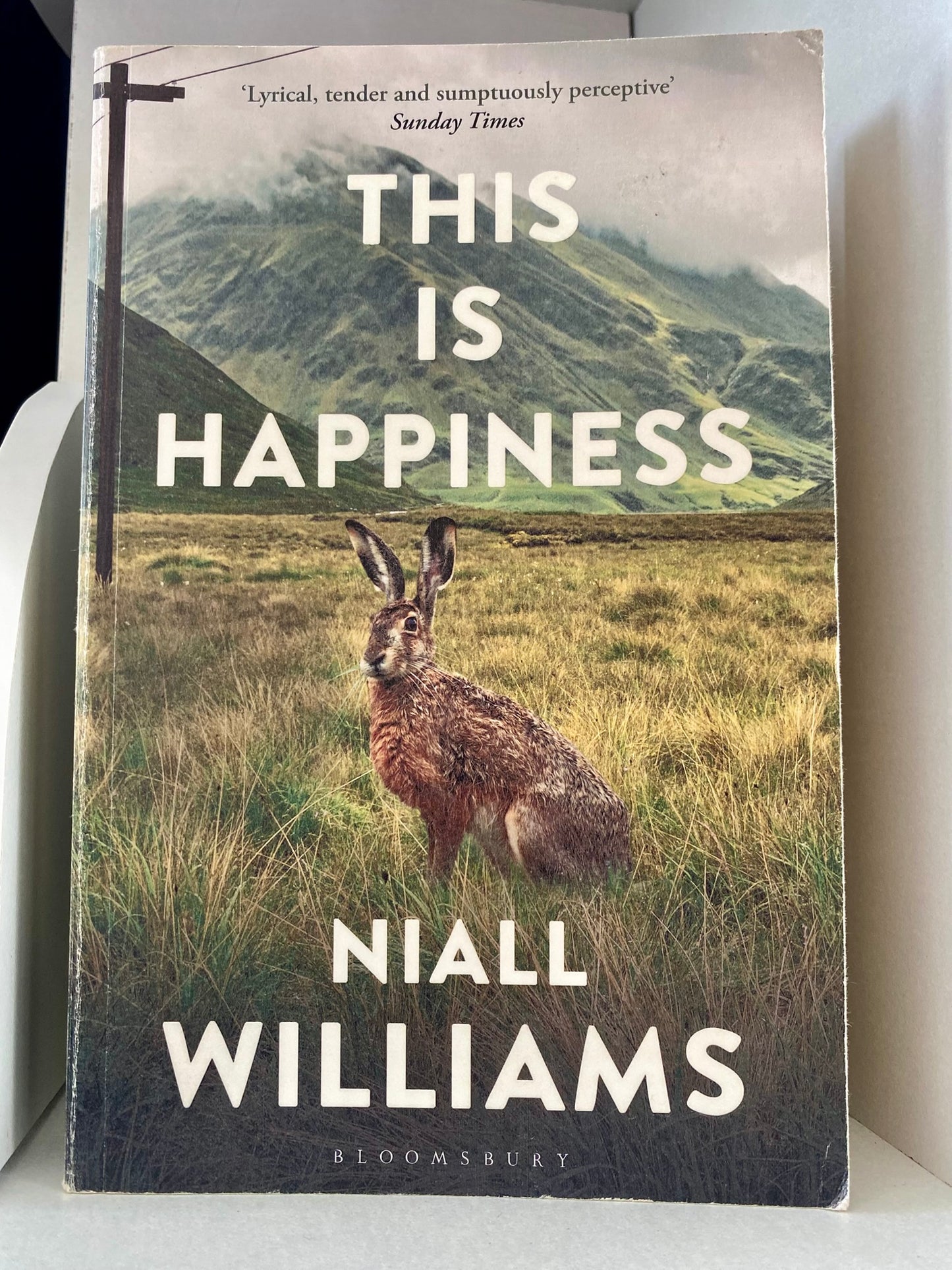 This is Happiness by Niall Williams