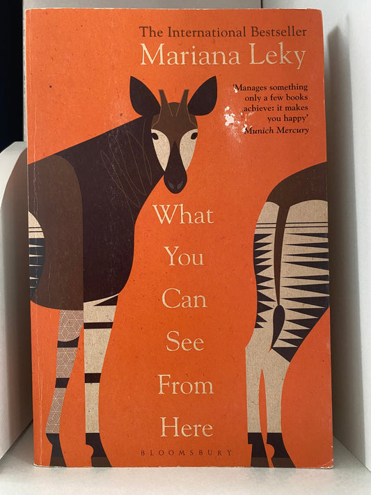 What You Can See From Here by Mariana Leky