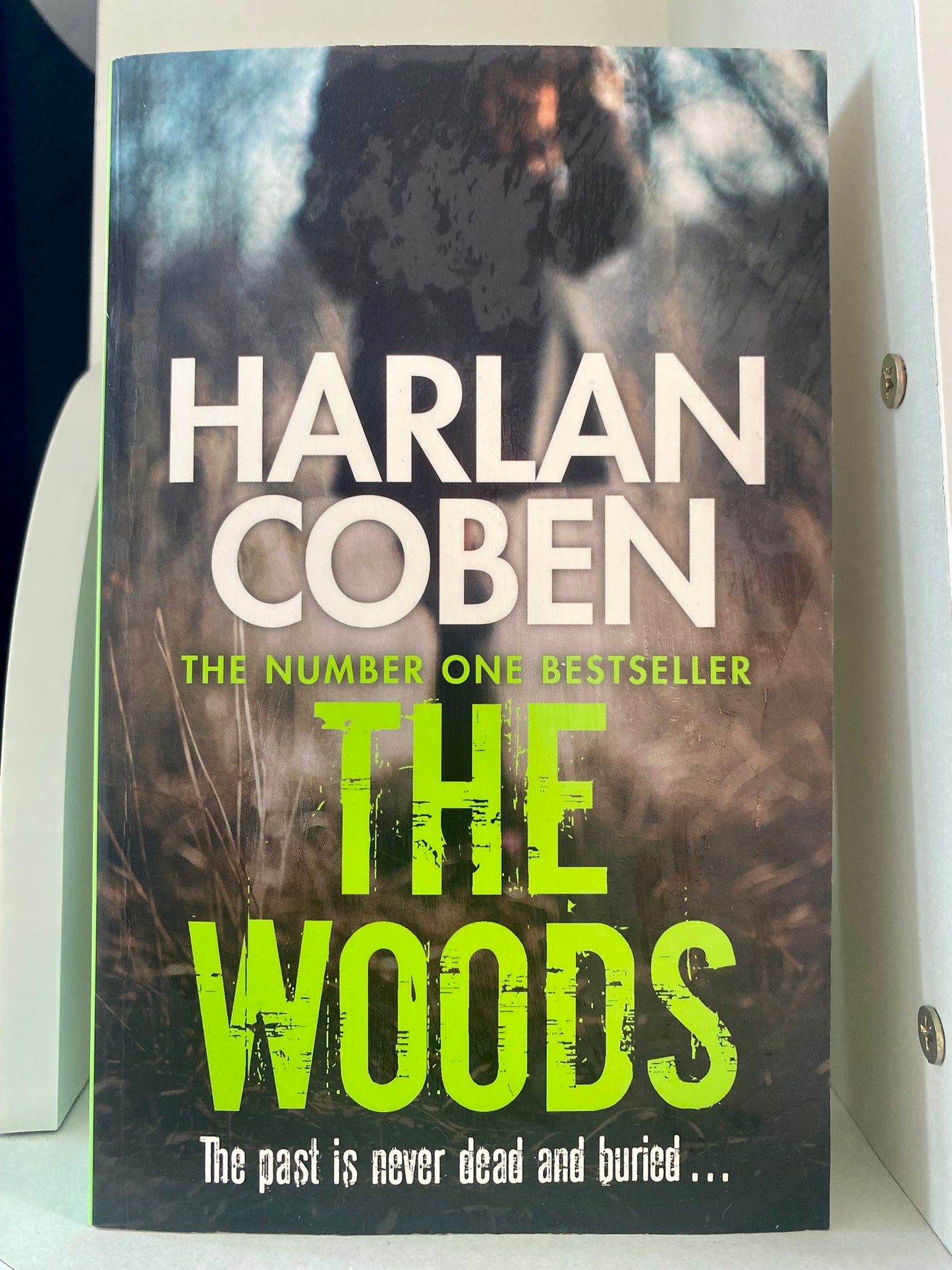 The Woods by Harlan Coben