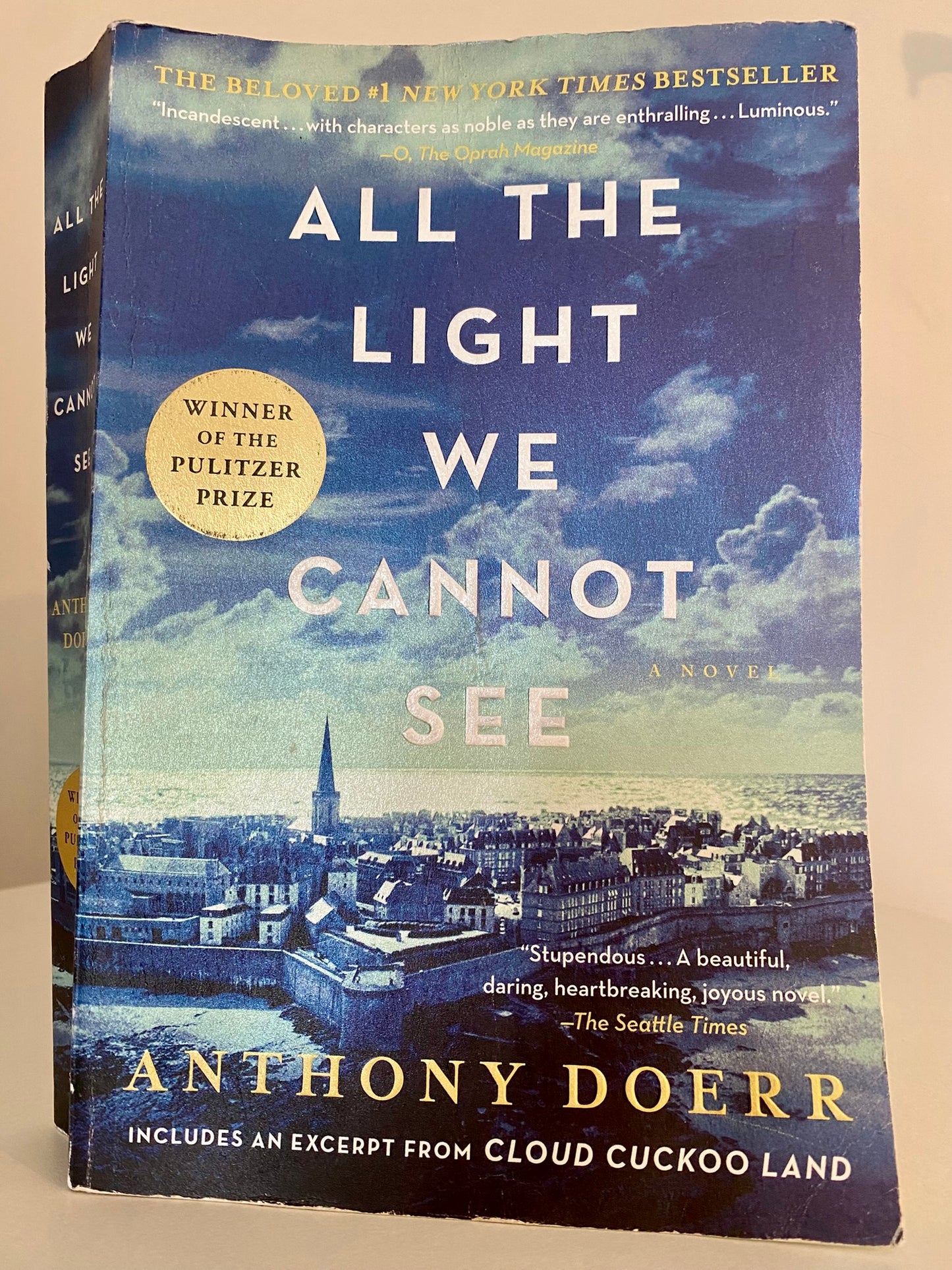 All The Light We Cannot See by Anthony Doerr